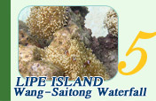 Lipe Island and WangSaitong Waterfall