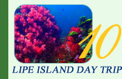 Lipe Island Day Trip