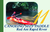 Canoeing Self Paddle
