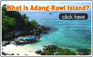 What is Adang Rawi Island
