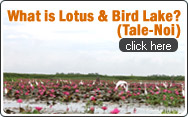 What is Lotus and Bird Lake