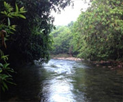 White Water Rafting by Canoe : JC Tour Lipe Island